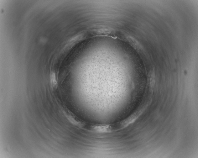 X0000081560089200701291200