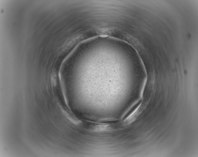 X0000081560090200701291200