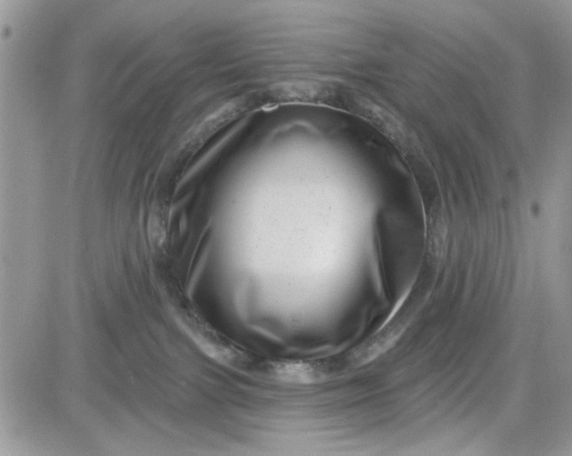 X0000081560091200701291200