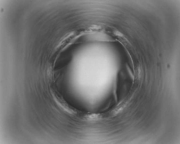 X0000081560092200701291200