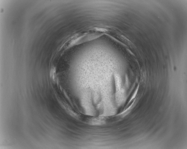 X0000081560094200701291200