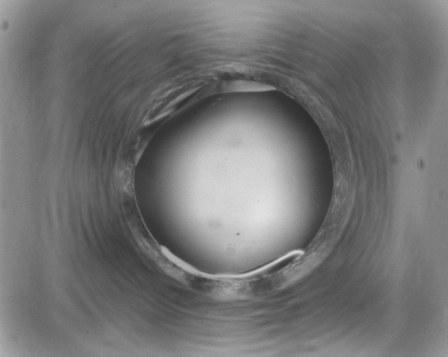 X0000081560096200701291200