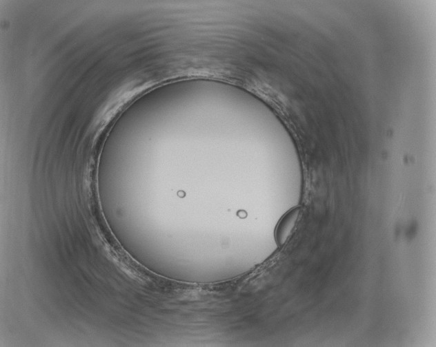 X0000081560098200701291200