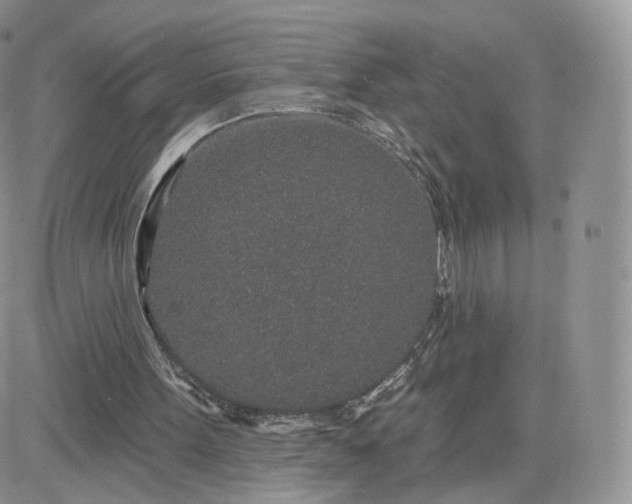 X0000081560099200701291200