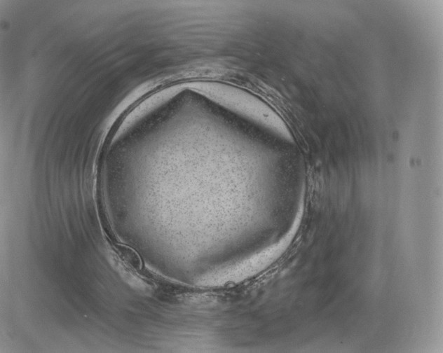 X0000081560100200701291200