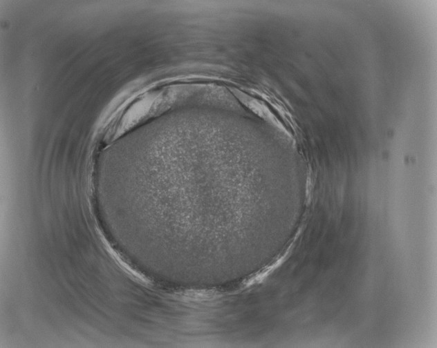 X0000081560101200701291200