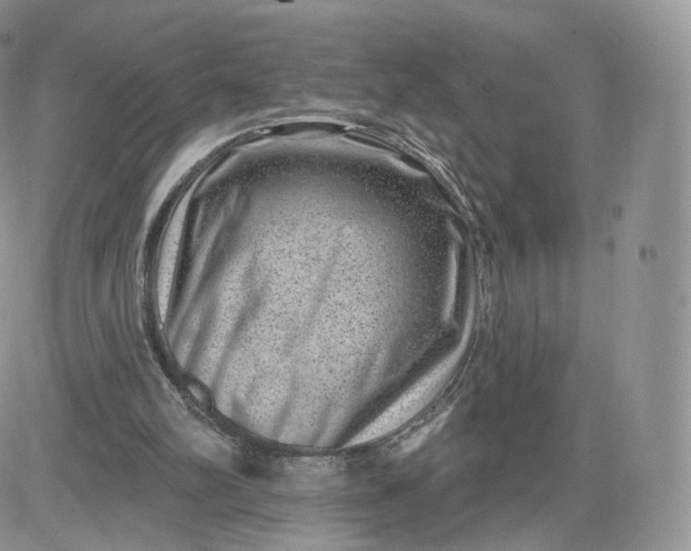 X0000081560102200701291200