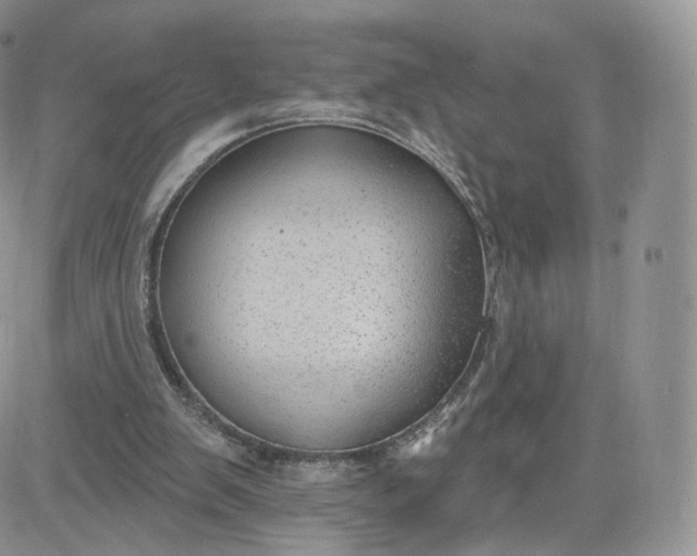 X0000081560103200701291200