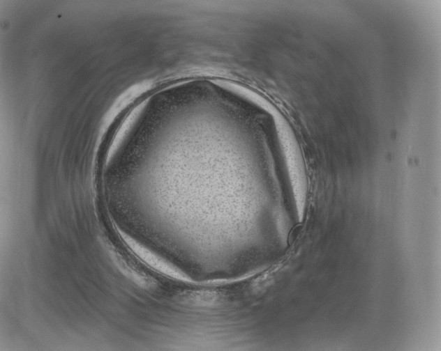 X0000081560104200701291200