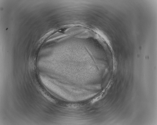 X0000081560105200701291200