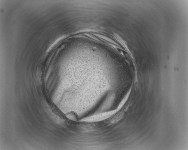 X0000081560106200701291200