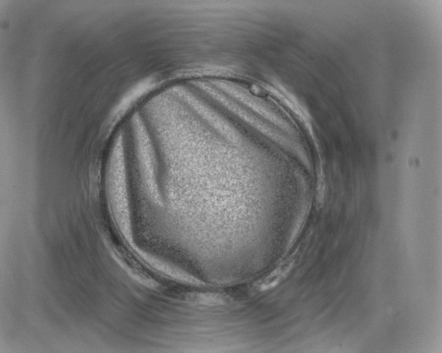 X0000081560107200701291200