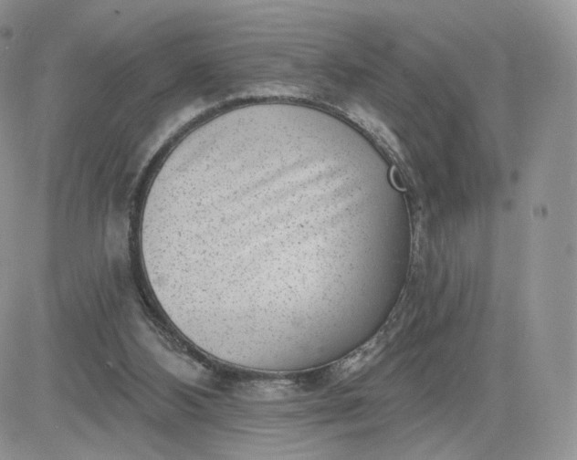 X0000081560108200701291200