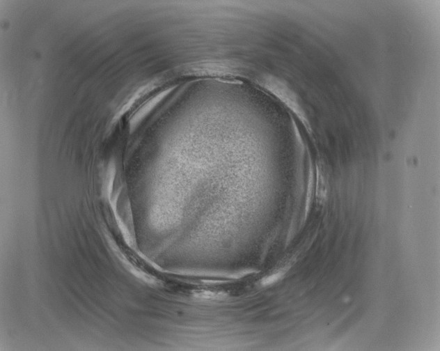 X0000081560109200701291159