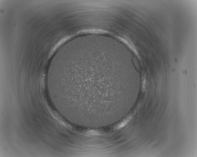 X0000081560111200701291159