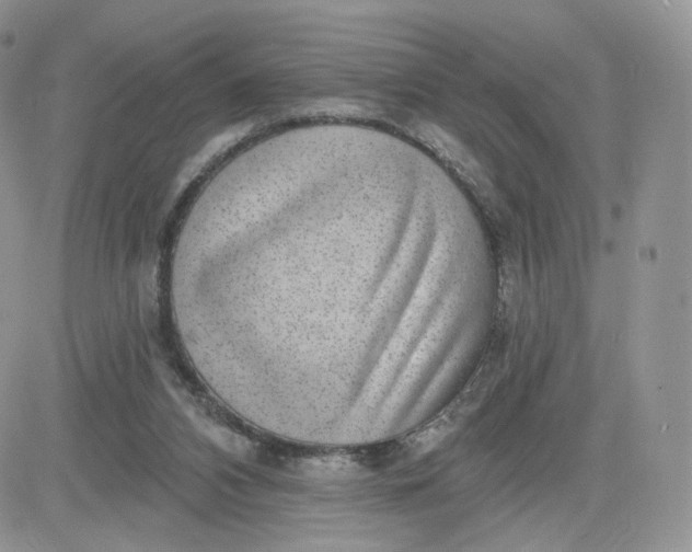 X0000081560112200701291159