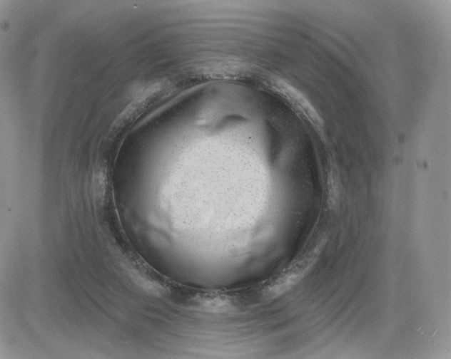 X0000081560113200701291159