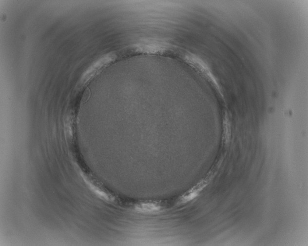 X0000081560114200701291159