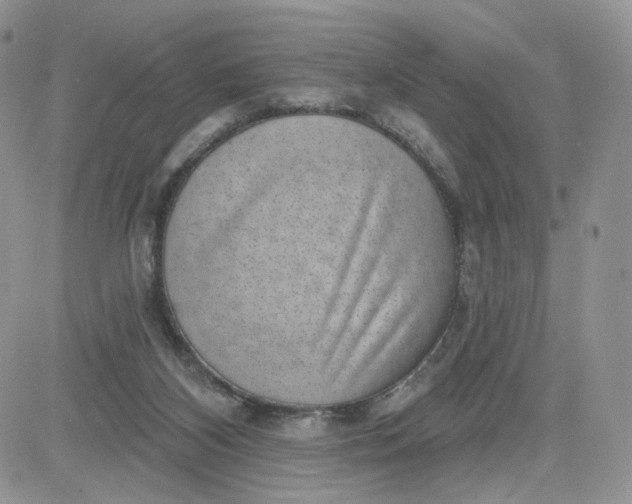 X0000081560116200701291159