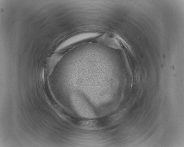 X0000081560117200701291159