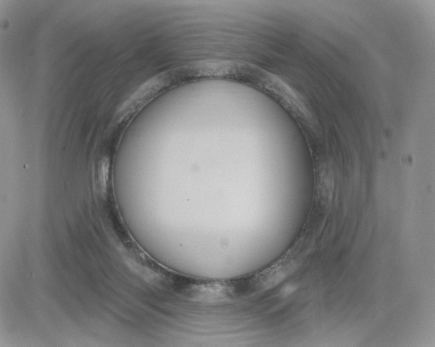 X0000081560118200701291159