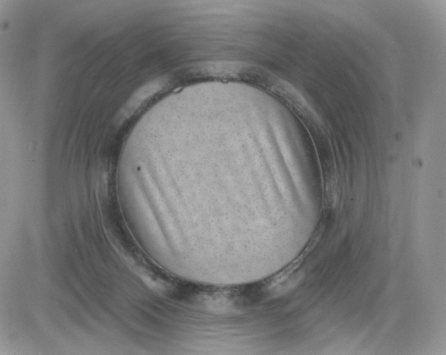 X0000081560120200701291159