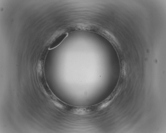 X0000081560121200701291159