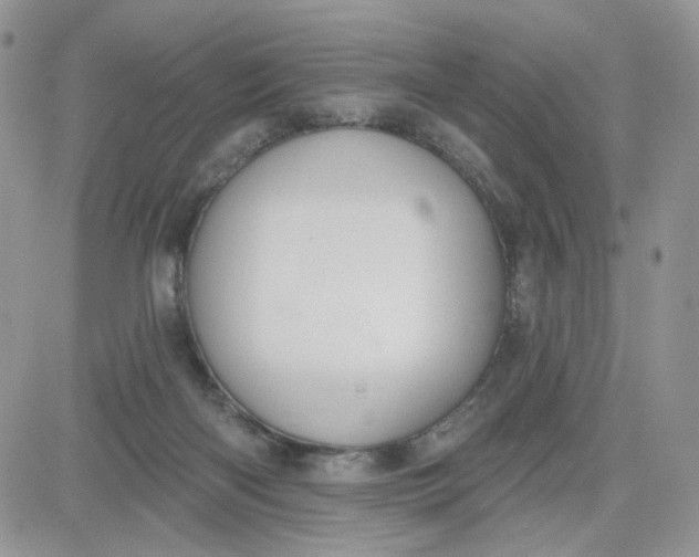 X0000081560122200701291159