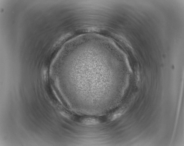 X0000081560123200701291159