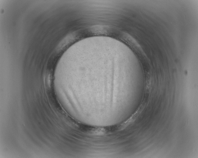 X0000081560124200701291159