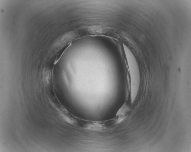 X0000081560125200701291159