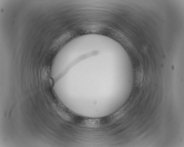 X0000081560126200701291159