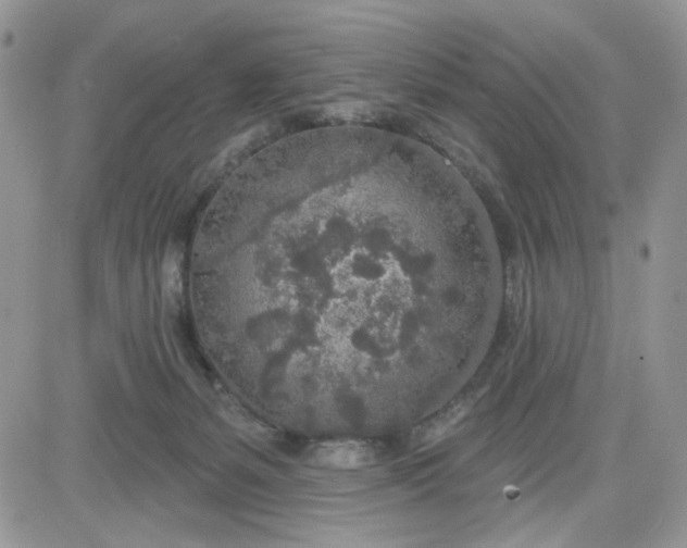 X0000081560127200701291159