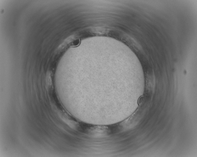 X0000081560128200701291159