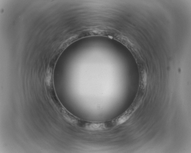 X0000081560129200701291159