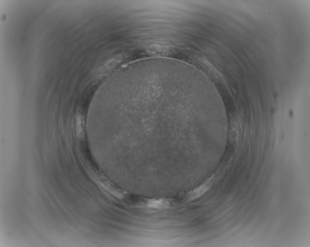 X0000081560130200701291159