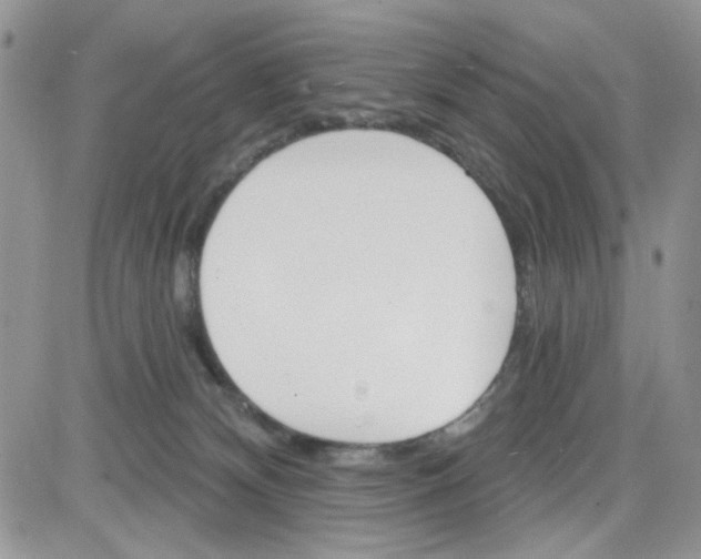 X0000081560132200701291159