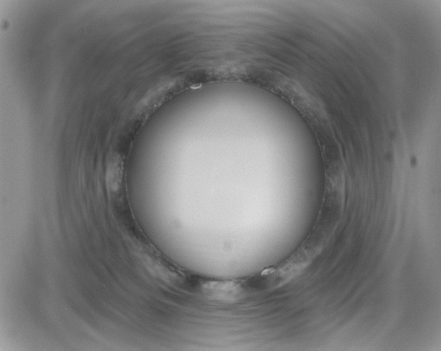 X0000081560133200701291159