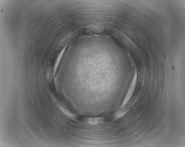 X0000081560134200701291159