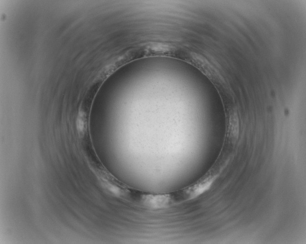 X0000081560135200701291159