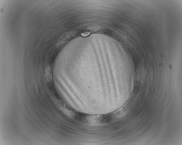 X0000081560136200701291159