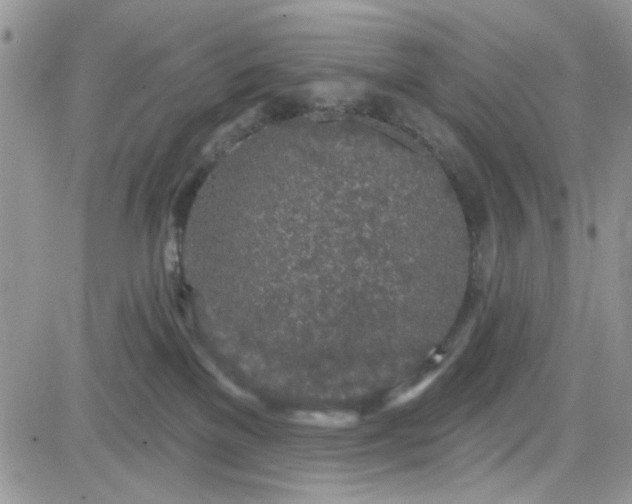 X0000081560137200701291159