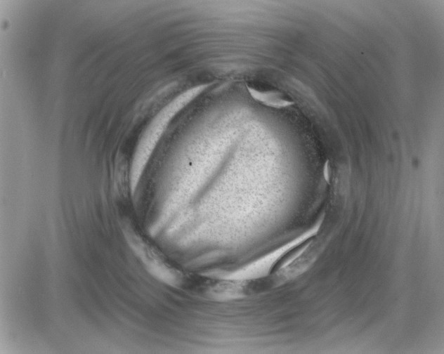 X0000081560138200701291159