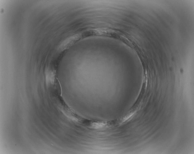 X0000081560139200701291159