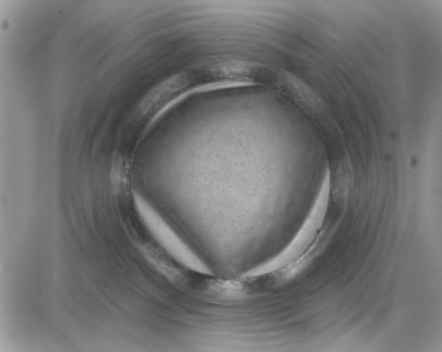 X0000081560140200701291159