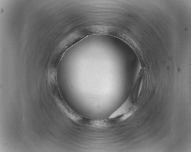 X0000081560141200701291159