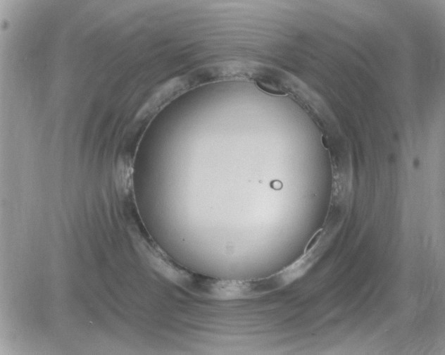 X0000081560142200701291159