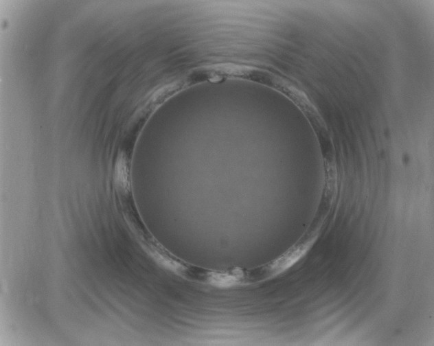 X0000081560143200701291159