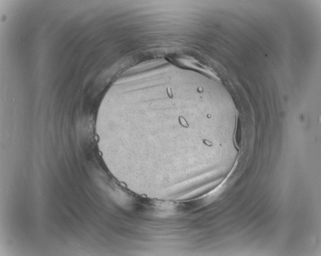 X0000081560144200701291159