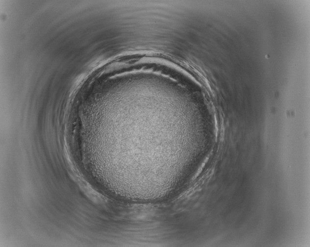 X0000081560145200701291158